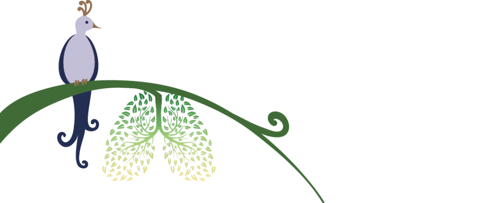 YogaStudio-Sense-LOGO-1024x414 (1)